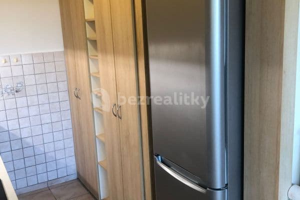 1 bedroom with open-plan kitchen flat to rent, 39 m², Prague, Prague