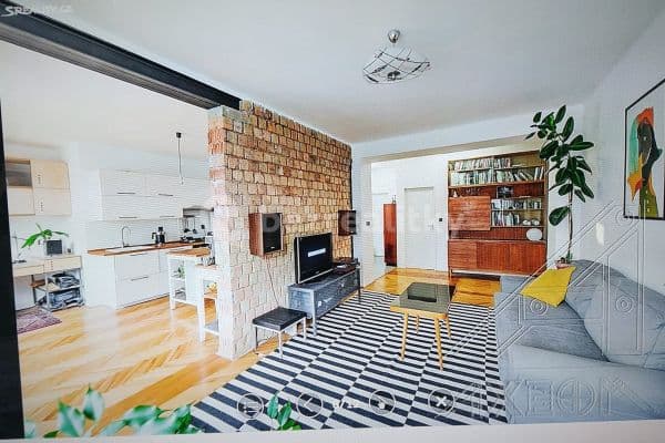 1 bedroom with open-plan kitchen flat to rent, 71 m², Prague, Prague