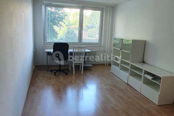 1 bedroom with open-plan kitchen flat to rent, 45 m², Prague, Prague