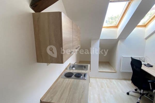 1 bedroom with open-plan kitchen flat to rent, 43 m², Václavská, 1 bedroom with open-plan kitchen flat to rent, 43 m², Václavská,