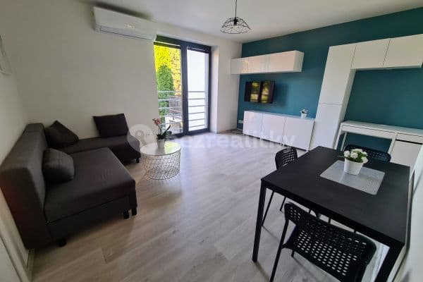 1 bedroom with open-plan kitchen flat to rent, 50 m², Holzova, 1 bedroom with open-plan kitchen flat to rent, 50 m², Holzova,