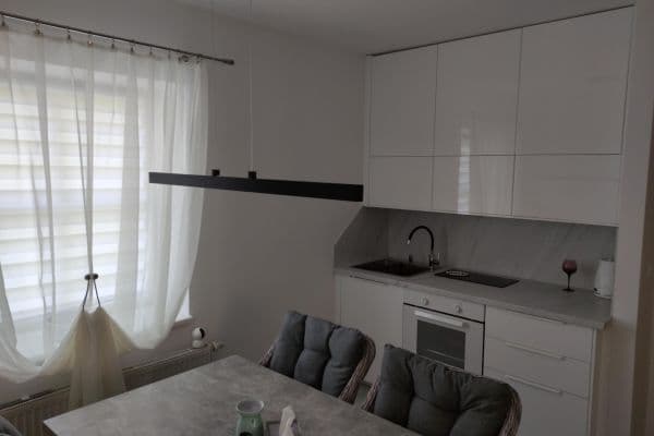 2 bedroom with open-plan kitchen flat for sale, 49 m², Opárno, Velemín 2 bedroom with open-plan kitchen flat for sale, 49 m², Opárno, Velemín