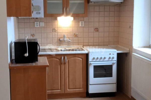 1 bedroom with open-plan kitchen flat to rent, 40 m², Hálkova, 