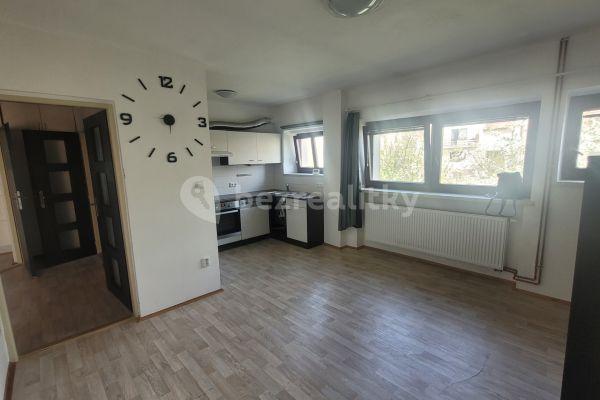 1 bedroom with open-plan kitchen flat to rent, 45 m², Opuková, 