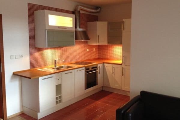 1 bedroom with open-plan kitchen flat to rent, 44 m², Na Kopečku, 1 bedroom with open-plan kitchen flat to rent, 44 m², Na Kopečku,