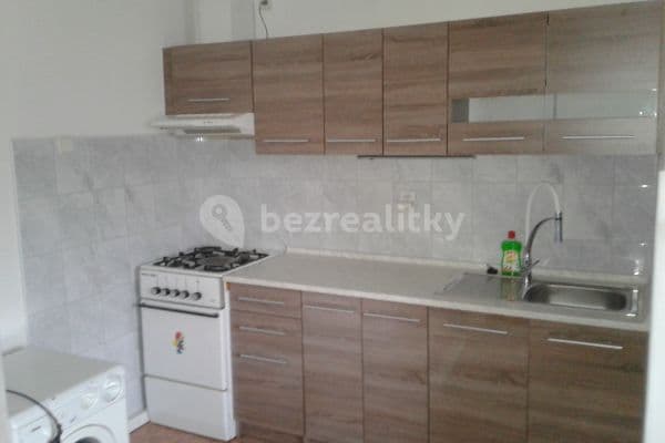 1 bedroom with open-plan kitchen flat to rent, 33 m², Prague, Prague