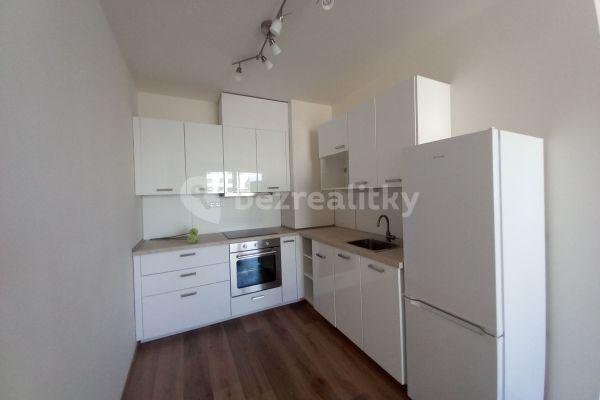 1 bedroom with open-plan kitchen flat to rent, 46 m², Prague, Prague