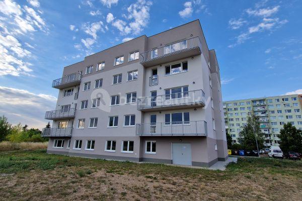 1 bedroom with open-plan kitchen flat to rent, 49 m², Husova, 