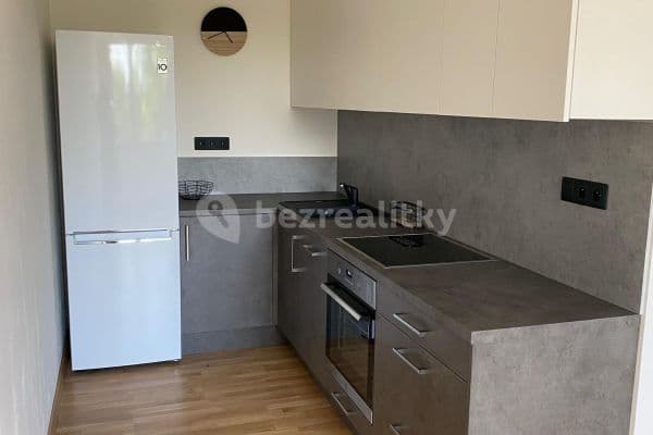 1 bedroom with open-plan kitchen flat to rent, 40 m², Slaný, Středočeský Region