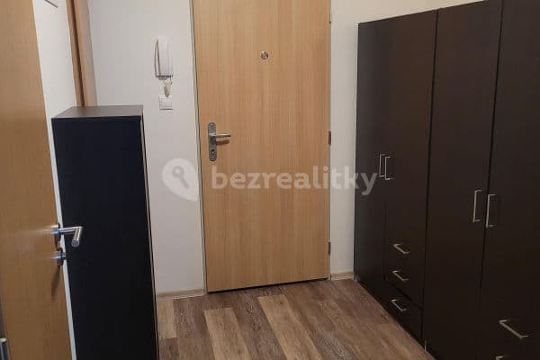1 bedroom with open-plan kitchen flat to rent, 44 m², Klecany, Středočeský Region