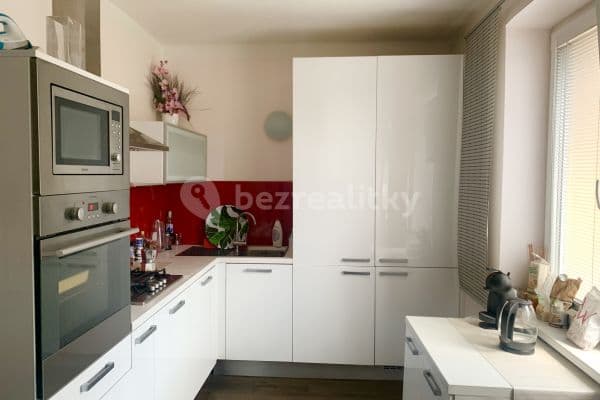 1 bedroom with open-plan kitchen flat to rent, 51 m², Prague, Prague