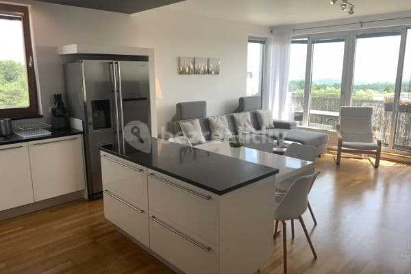 2 bedroom with open-plan kitchen flat to rent, 91 m², Prague, Prague