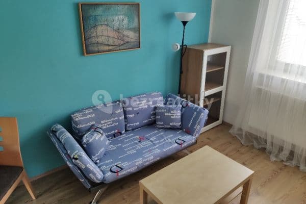 1 bedroom with open-plan kitchen flat to rent, 30 m², Brno, Jihomoravský Region