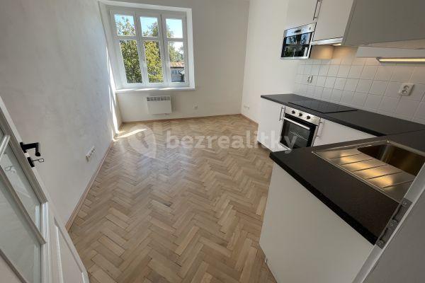 1 bedroom with open-plan kitchen flat to rent, 31 m², Prague, Prague