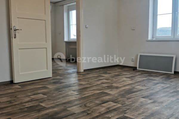 1 bedroom with open-plan kitchen flat to rent, 52 m², Resslova, 