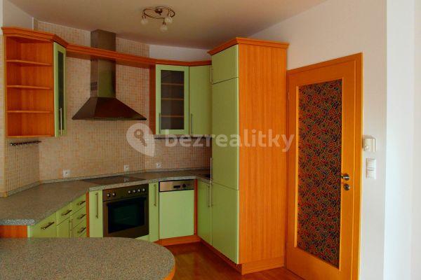 1 bedroom with open-plan kitchen flat to rent, 65 m², Prague, Prague