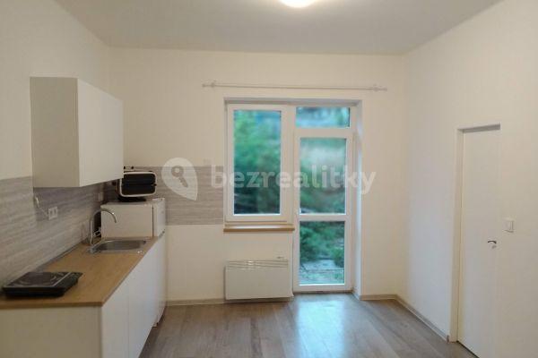 1 bedroom flat to rent, 33 m², Alešova, 