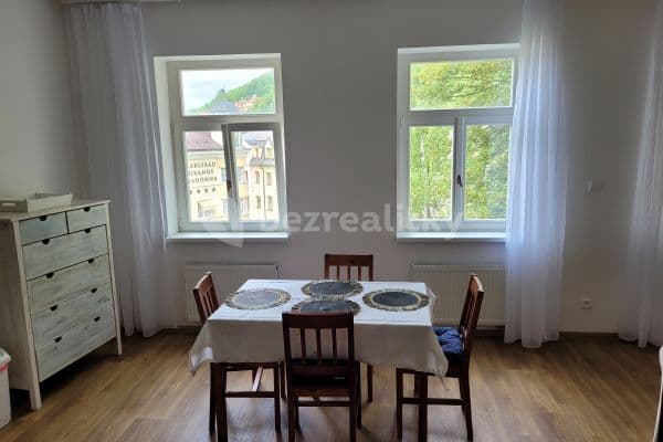 1 bedroom with open-plan kitchen flat to rent, 66 m², Karlovy Vary, Karlovarský Region
