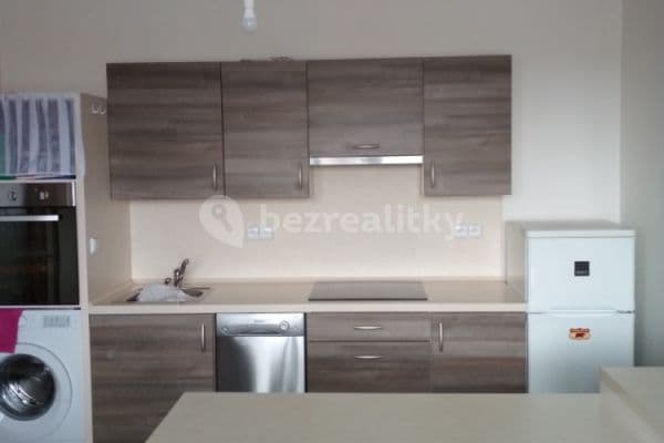 1 bedroom with open-plan kitchen flat to rent, 44 m², Papírenská, České Budějovice 1 bedroom with open-plan kitchen flat to rent, 44 m², Papírenská, České Budějovice