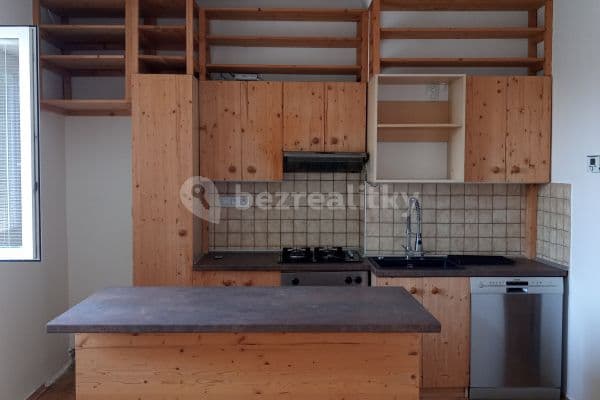 1 bedroom with open-plan kitchen flat to rent, 40 m², Prague, Prague