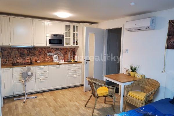 1 bedroom with open-plan kitchen flat to rent, 50 m², Prague, Prague