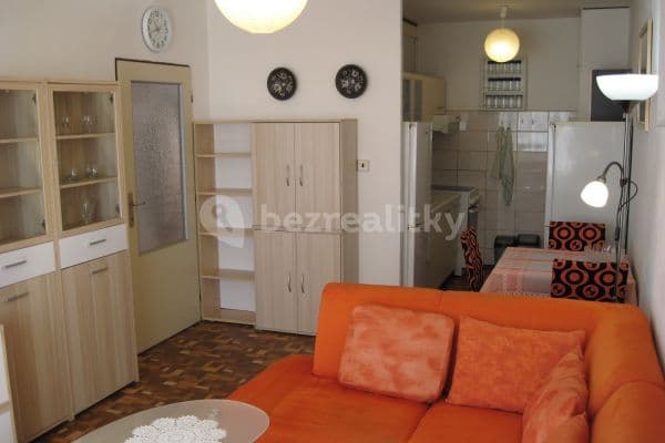 1 bedroom with open-plan kitchen flat to rent, 43 m², Pavlišovská, 