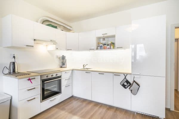 1 bedroom with open-plan kitchen flat to rent, 63 m², Pechmanových, Praha