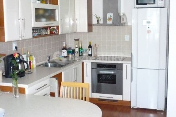 1 bedroom with open-plan kitchen flat to rent, 40 m², Langrova, Brno