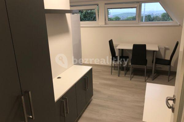 1 bedroom with open-plan kitchen flat to rent, 35 m², Holzova, Brno