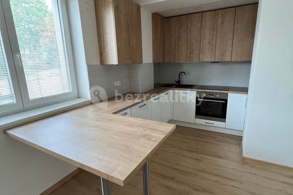 2 bedroom with open-plan kitchen flat to rent, 72 m², Prague, Prague