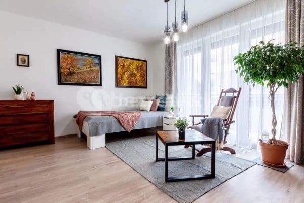 Studio flat to rent, 40 m², Do Zahrádek Ⅰ, Studio flat to rent, 40 m², Do Zahrádek Ⅰ,