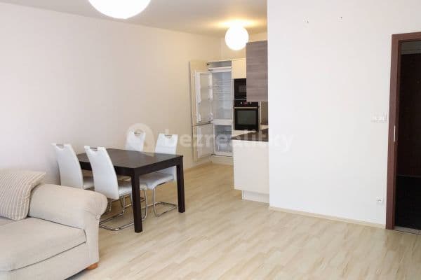 1 bedroom with open-plan kitchen flat to rent, 63 m², 
