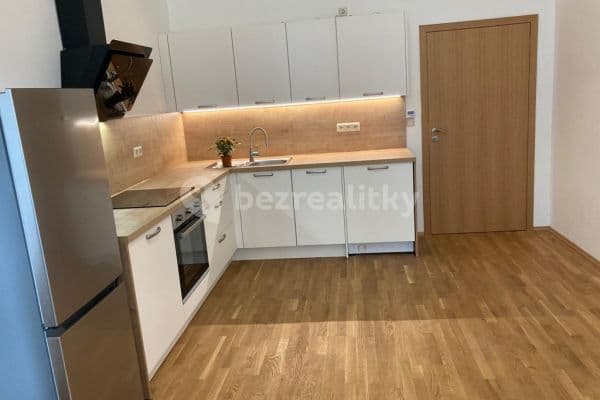 2 bedroom with open-plan kitchen flat to rent, 73 m², Prague, Prague