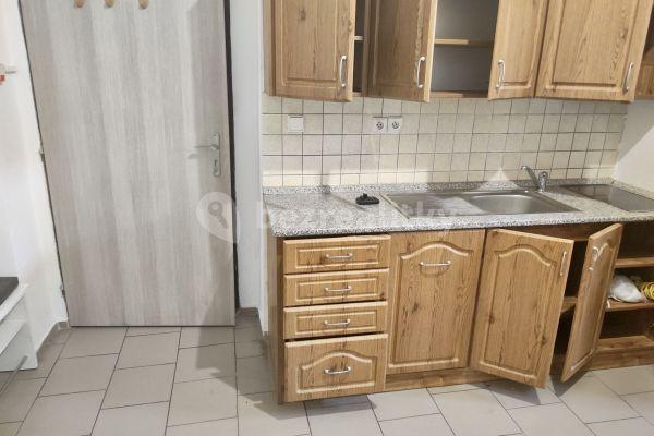 1 bedroom with open-plan kitchen flat to rent, 47 m², Kladno, Středočeský Region