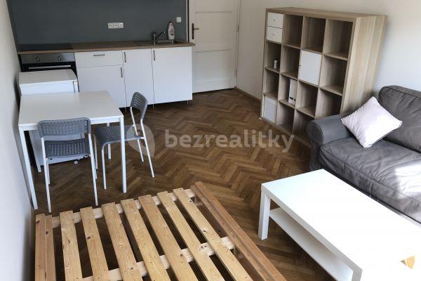 Small studio flat to rent, 25 m², Prague, Prague
