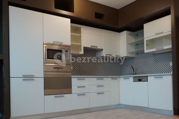 1 bedroom with open-plan kitchen flat to rent, 48 m², Prague, Prague