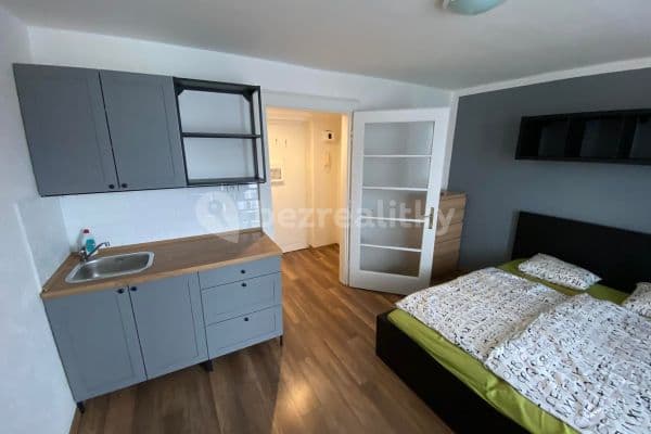 Small studio flat to rent, 19 m², Ostrava