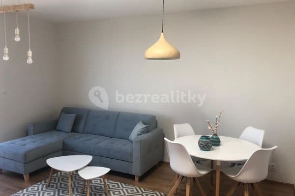 1 bedroom with open-plan kitchen flat to rent, 48 m², Sudoměřská, Prague, Prague