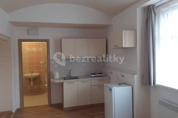 Studio flat to rent, 25 m², Libčice nad Vltavou, Středočeský Region