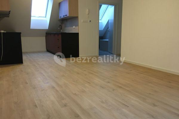 1 bedroom with open-plan kitchen flat to rent, 75 m², České Budějovice