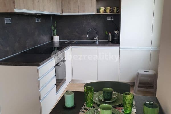 1 bedroom with open-plan kitchen flat to rent, 53 m², Bratislavská, Praha 1 bedroom with open-plan kitchen flat to rent, 53 m², Bratislavská, Praha