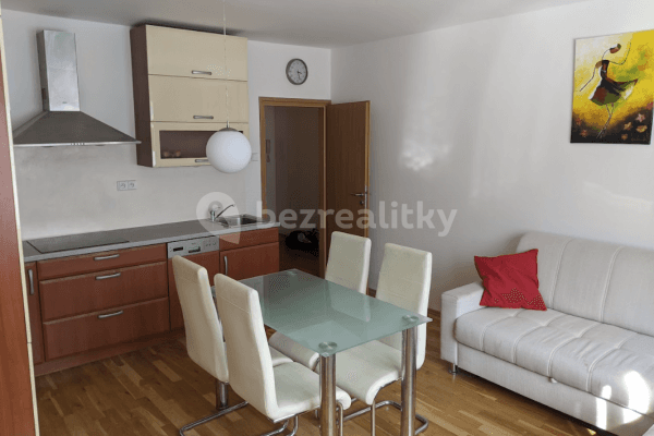 1 bedroom with open-plan kitchen flat to rent, 50 m², Sámova, Praha