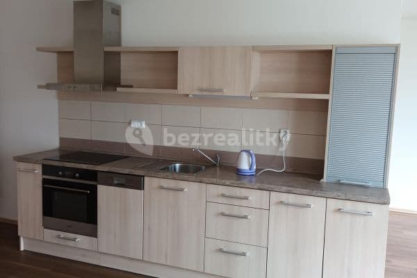 1 bedroom with open-plan kitchen flat to rent, 56 m², Paříkova, Praha 1 bedroom with open-plan kitchen flat to rent, 56 m², Paříkova, Praha