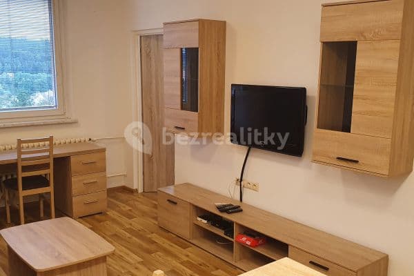 1 bedroom with open-plan kitchen flat to rent, 43 m², Hliníky, Velké Opatovice, Jihomoravský Region