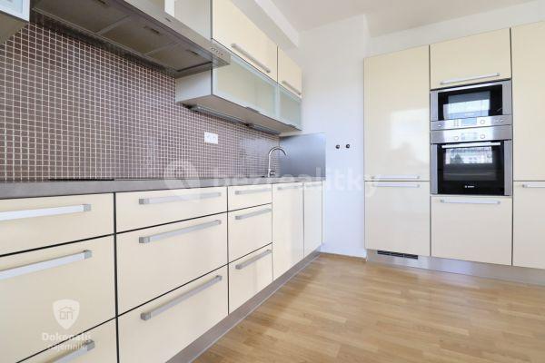 1 bedroom with open-plan kitchen flat to rent, 67 m², Přeučilova, 