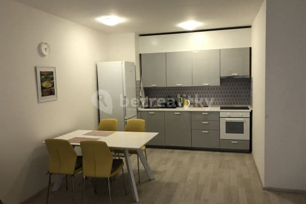 1 bedroom with open-plan kitchen flat to rent, 55 m², U Mlýnského kanálu, Praha 1 bedroom with open-plan kitchen flat to rent, 55 m², U Mlýnského kanálu, Praha