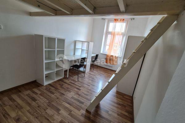 1 bedroom with open-plan kitchen flat to rent, 30 m², Pod Kavalírkou, Prague, Prague