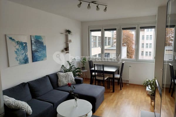 1 bedroom with open-plan kitchen flat to rent, 50 m², U Svobodárny, Praha