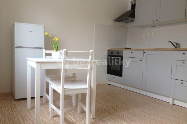 1 bedroom with open-plan kitchen flat to rent, 43 m², Český Krumlov, Jihočeský Region