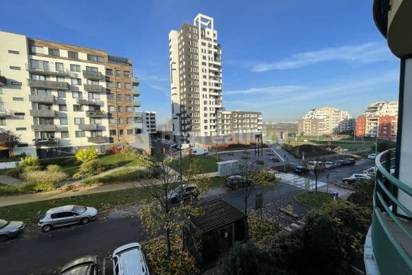 1 bedroom with open-plan kitchen flat to rent, 50 m², Voskovcova, Praha 1 bedroom with open-plan kitchen flat to rent, 50 m², Voskovcova, Praha